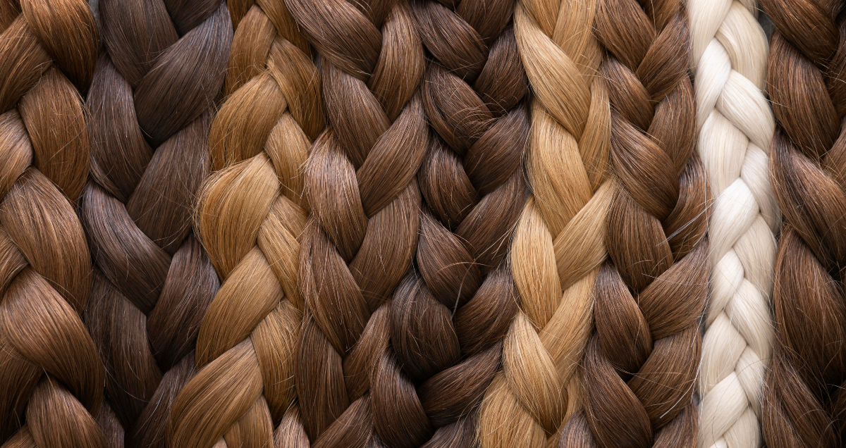 Human braid