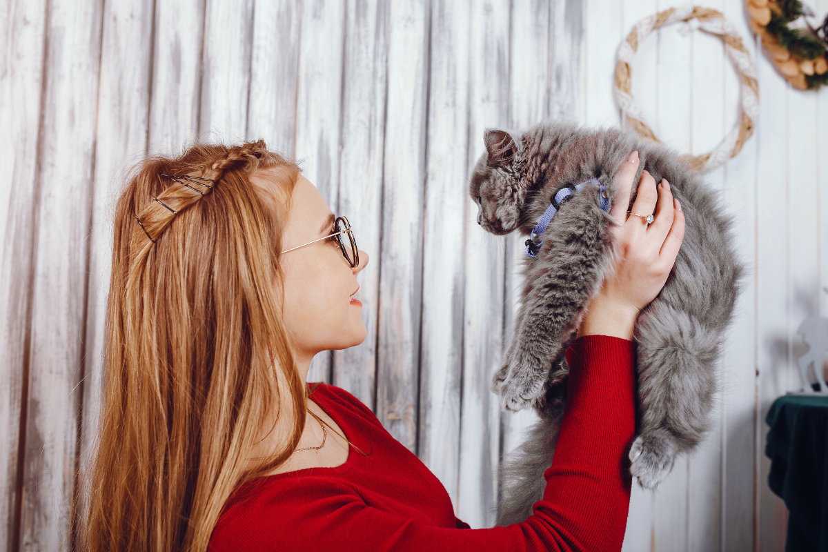 World cat day