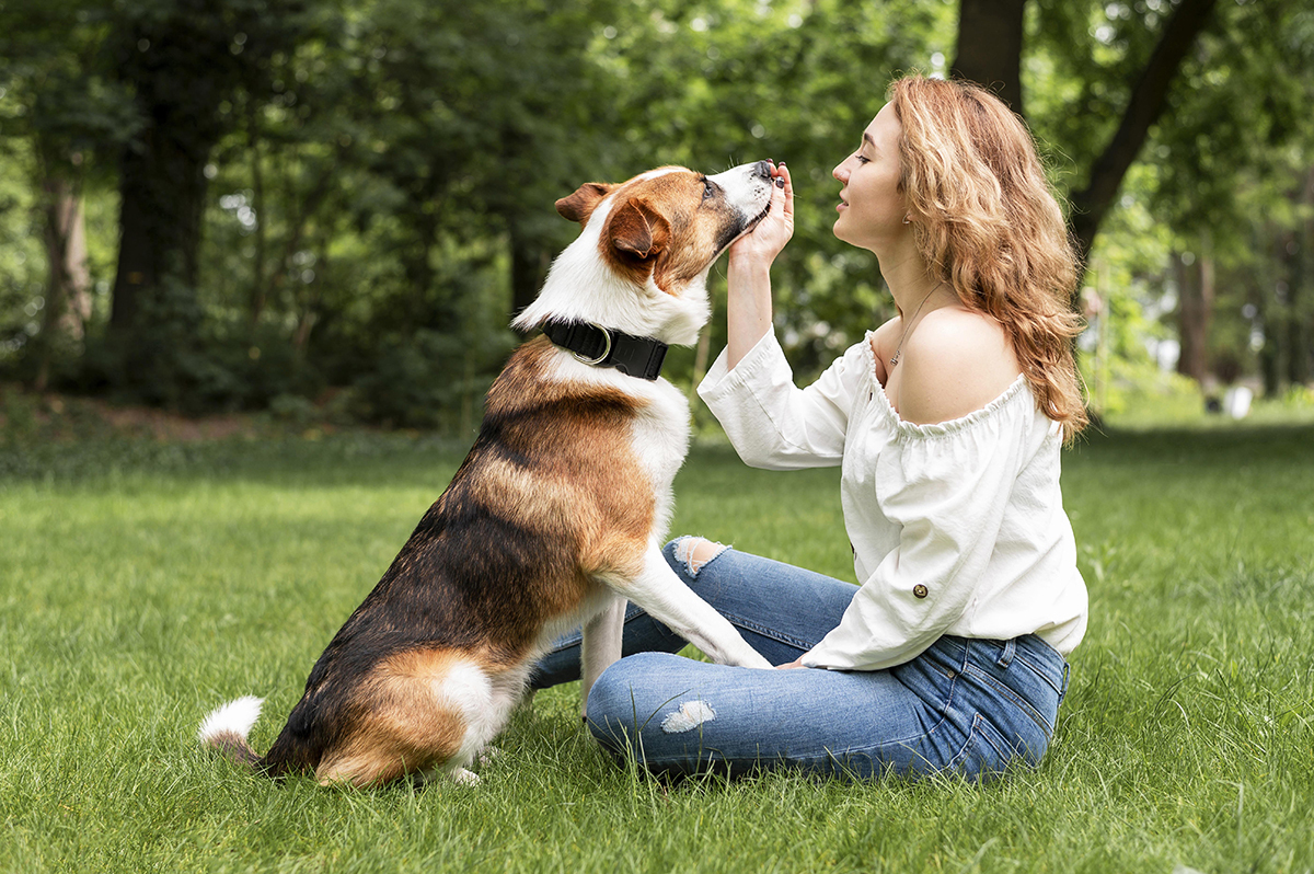 Dog Grooming - Fashion or Mandatory Part of Hygiene